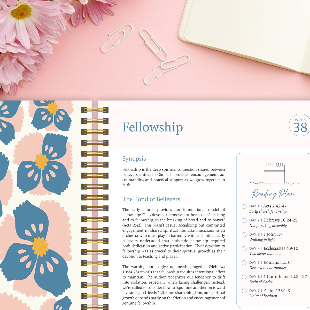 The Bible In A Year: The Complete Walk