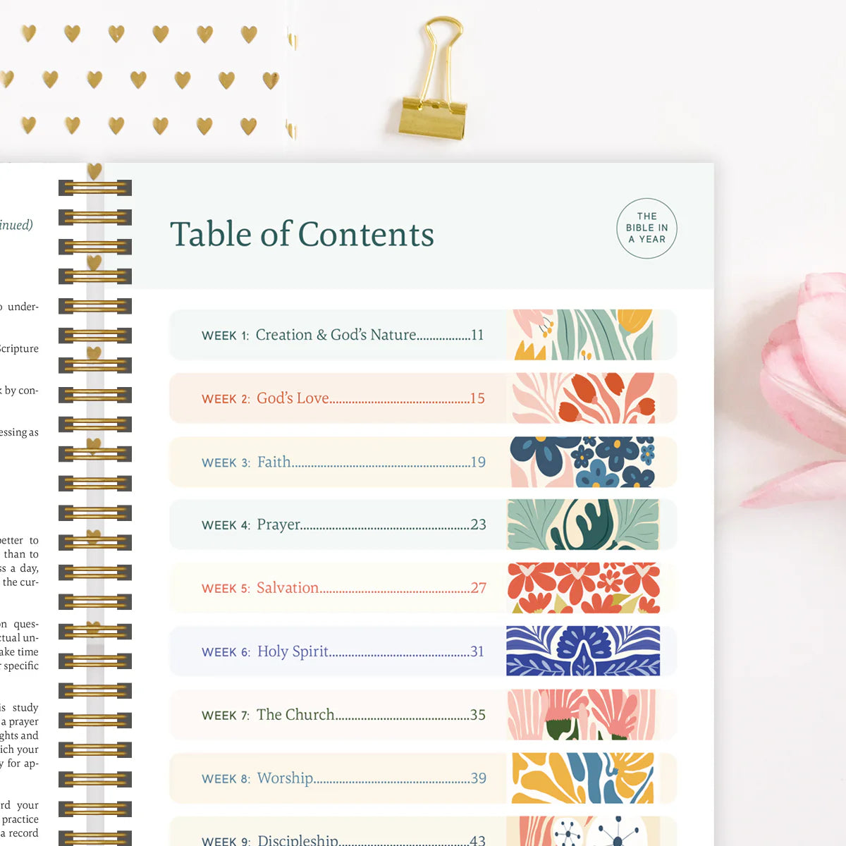 The Bible In A Year: The Complete Walk