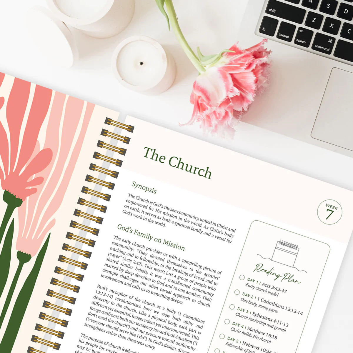 The Bible In A Year: The Complete Walk